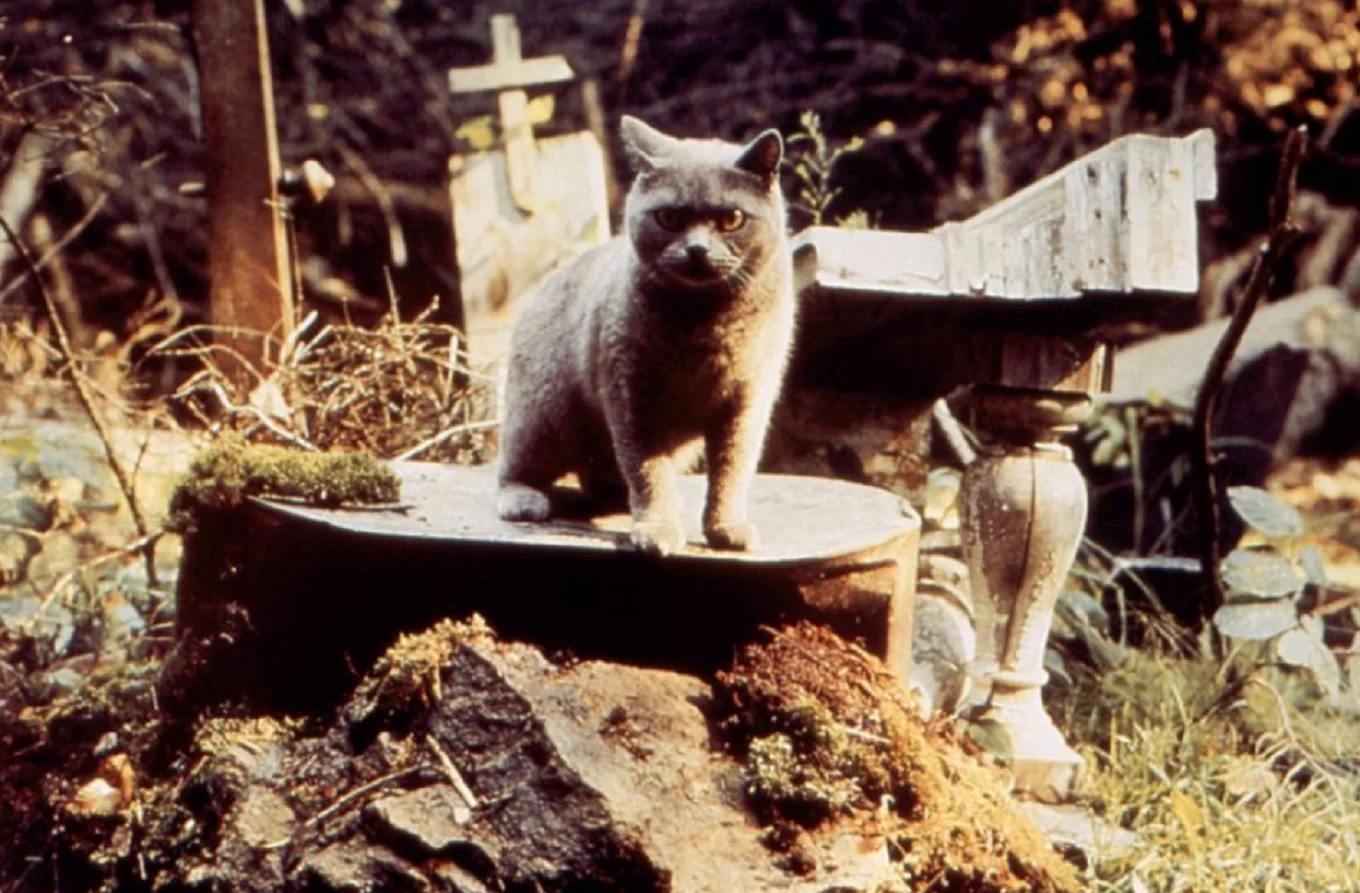 Pet Sematary (1989)