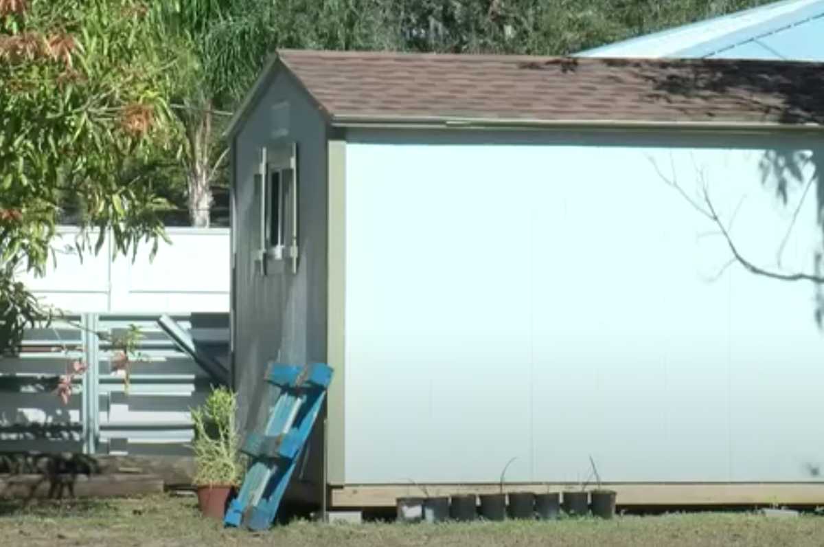 Shed in backyard Shed in backyard