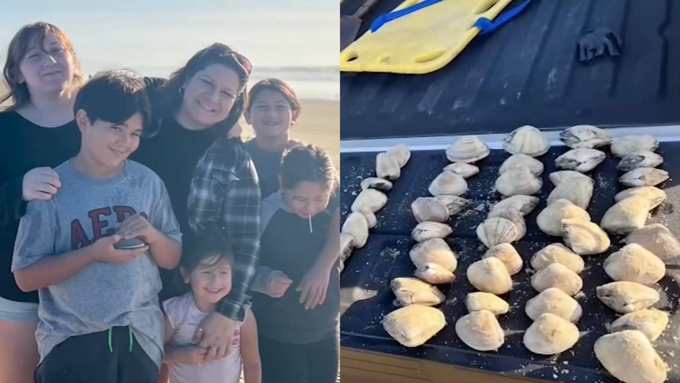 Mom Fined 88k After Kids Accidentally Took Clams From a Beach Instead