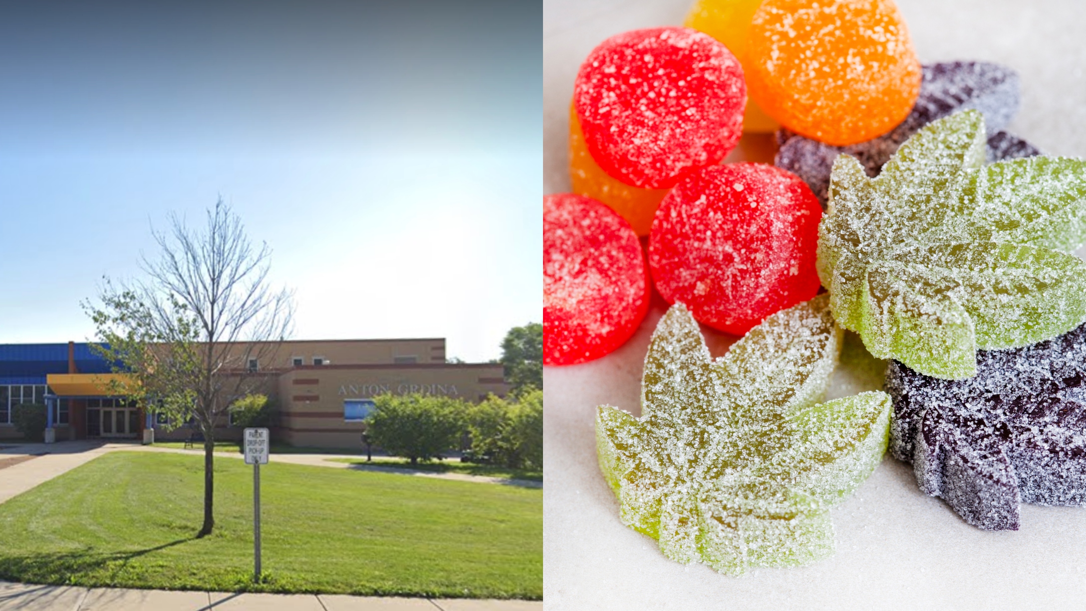 14 Kids Accidentally Ate Marijuana Gummies