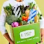 GreenChef-Plant-Based-Delivery-Service GreenChef-FB-placeholder