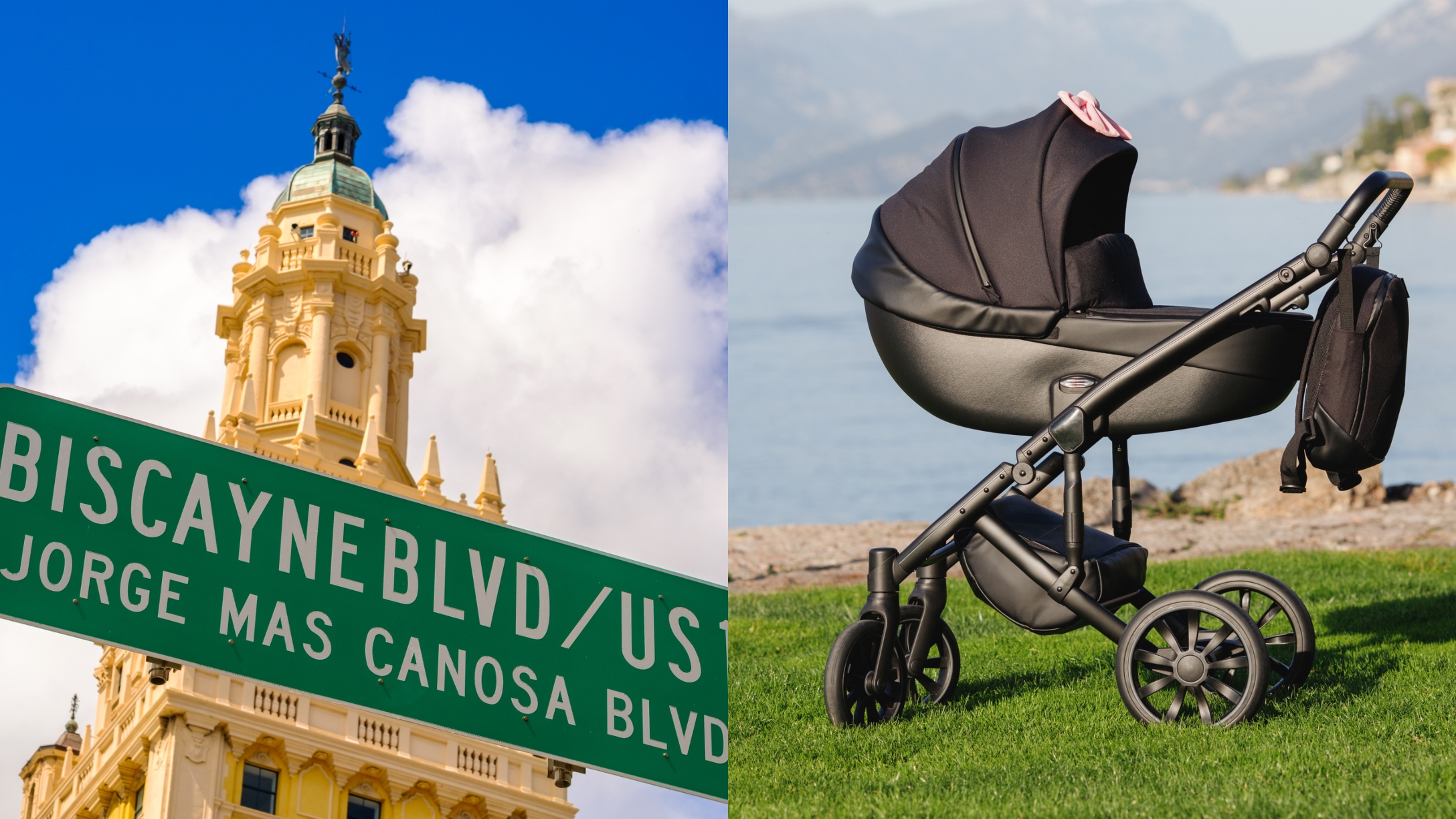 Mom Pushing Baby in Stroller Across Busy Street Is Killed After Being(02)