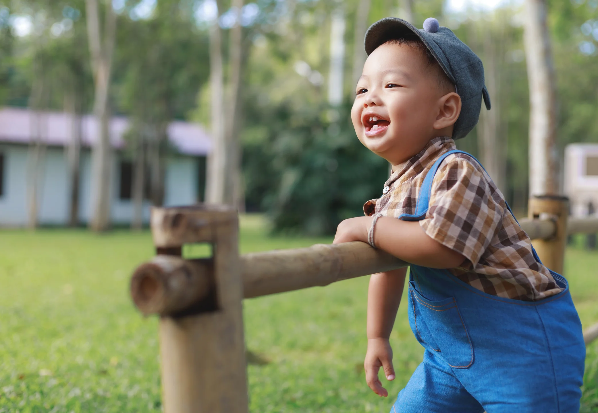 laughing little boy