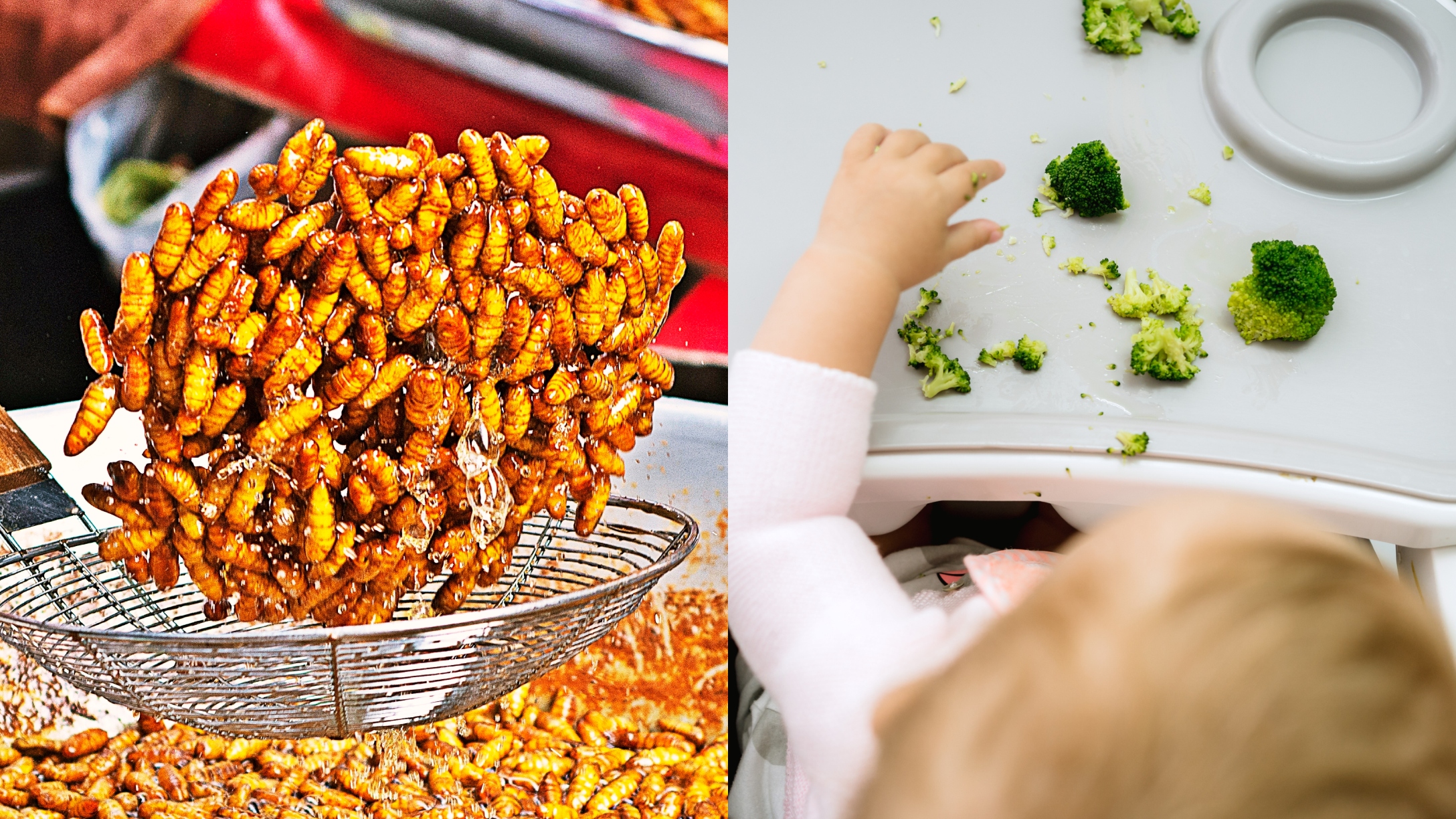 Mom Admits To Feeding Her Toddler Crickets for Protein So She Can Save Money