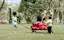 Little boy pulls wagons with other children in it-placeholder