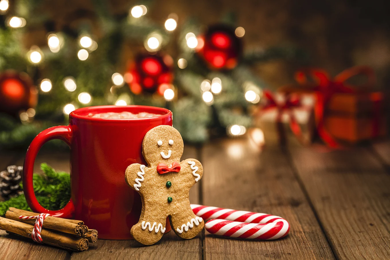 gingerbread and hot chocolate