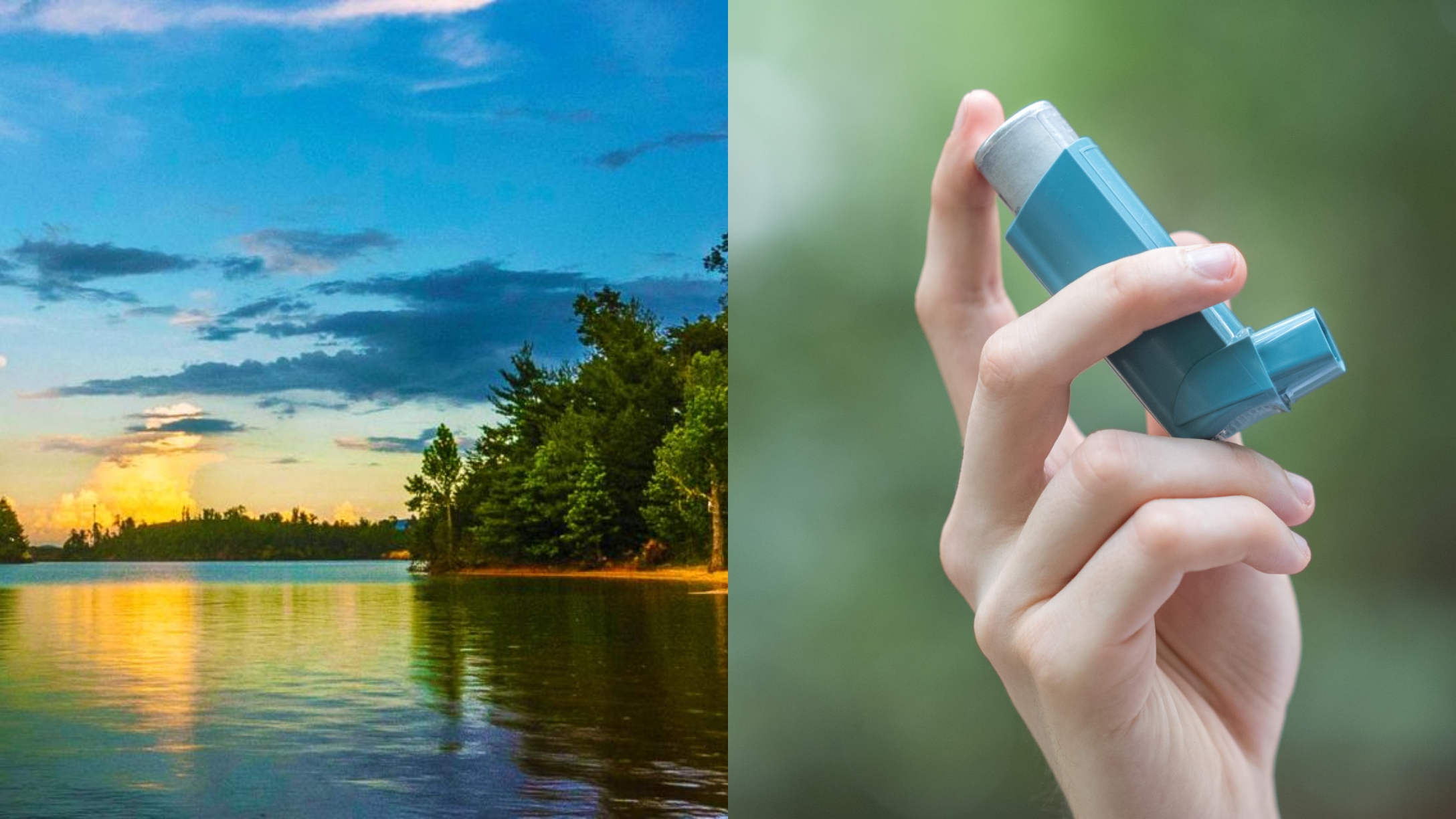 Mom Dies by Drowning While Swimming in Lake, Leaving 5YearOld