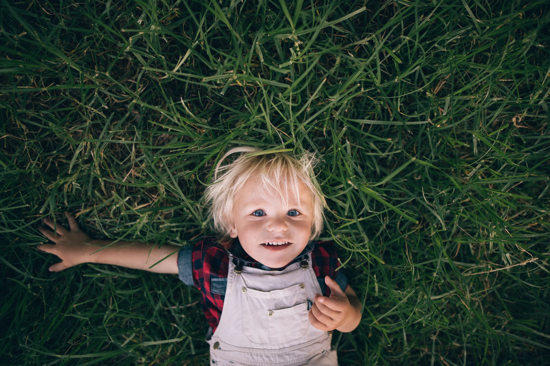 little boy in grass
