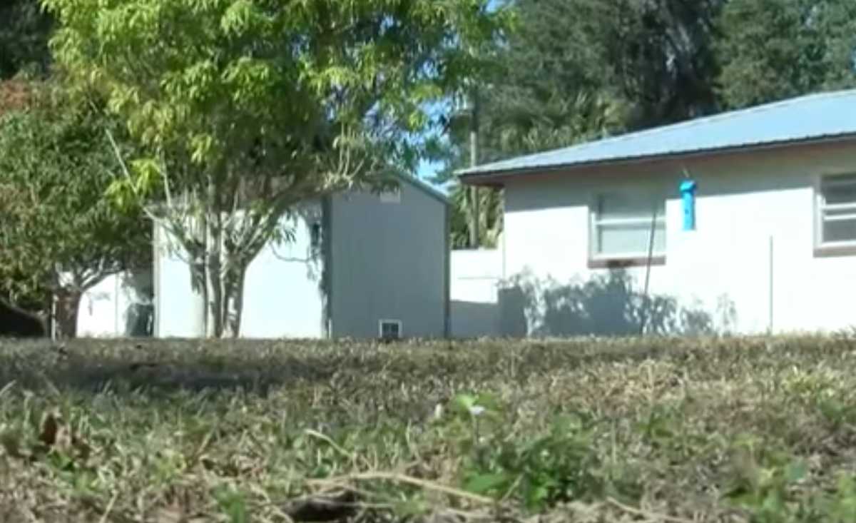 Shed in Arcadia, Florida Shed in Arcadia, Florida