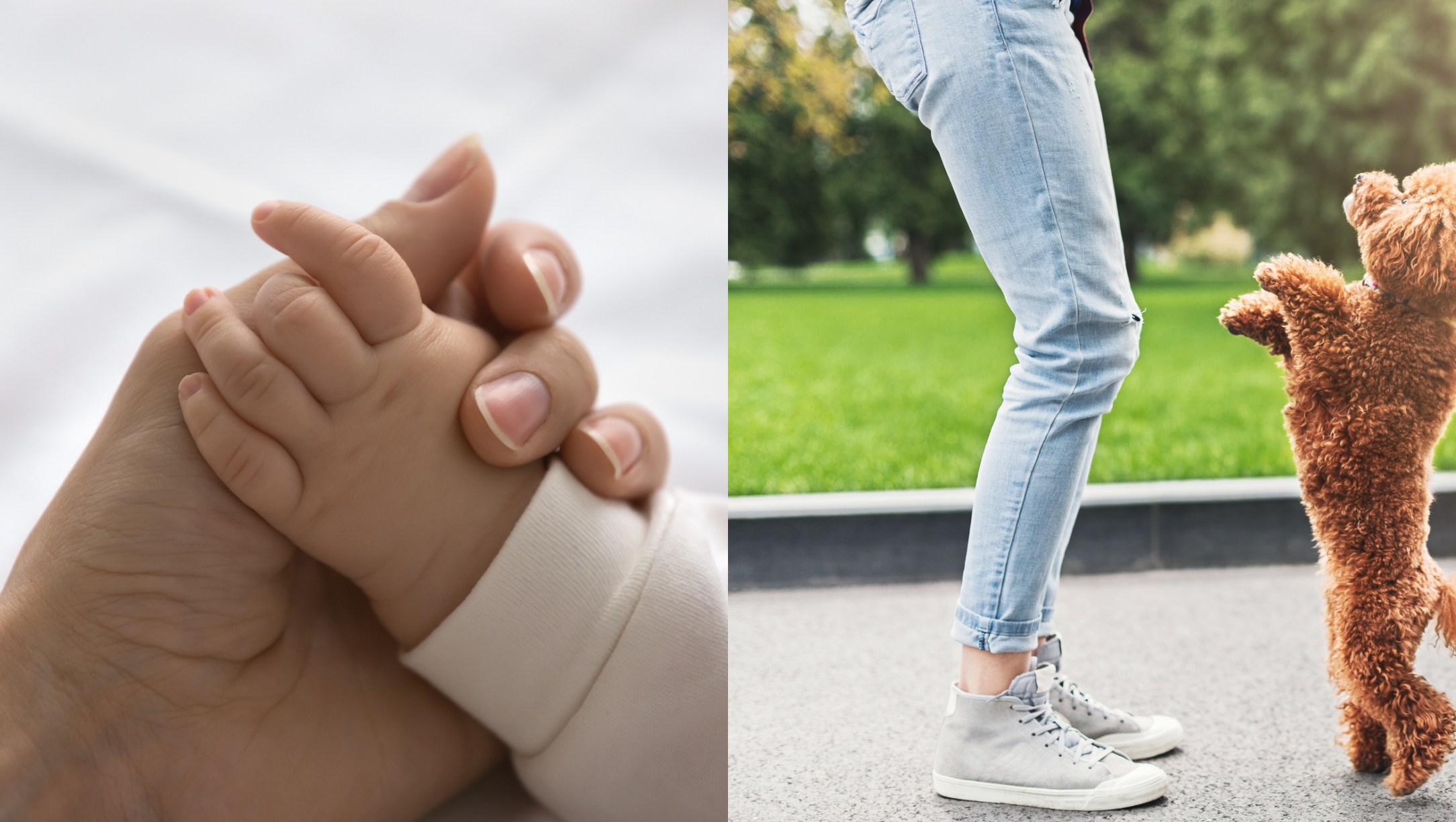 My Baby Died & My Family Thinks I'm Crazy Because Now I Treat My Dog Like a Child