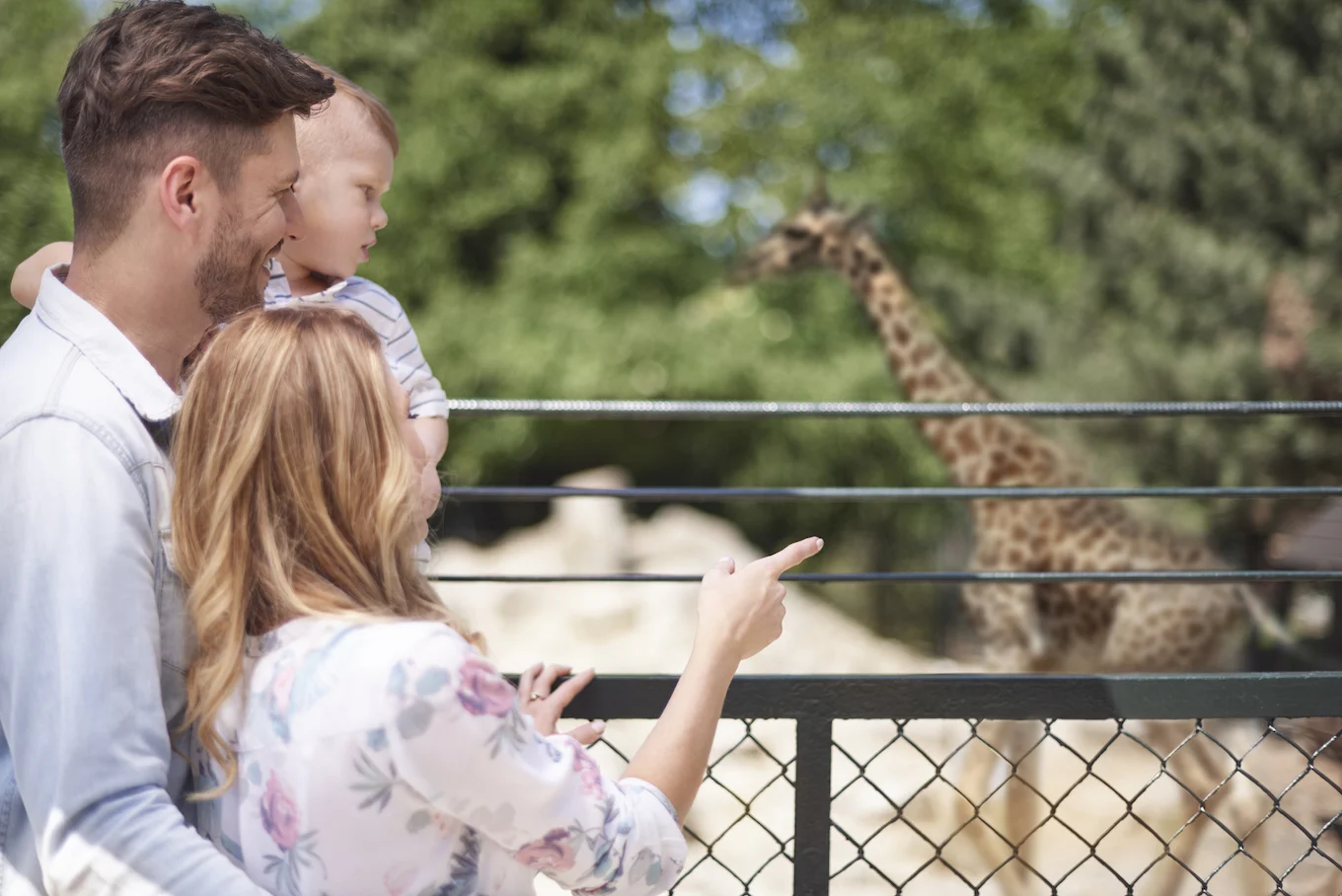 family at the zoo