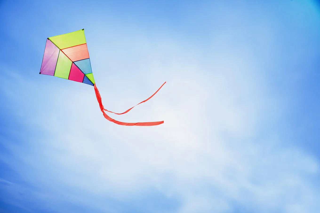 kite in the sky