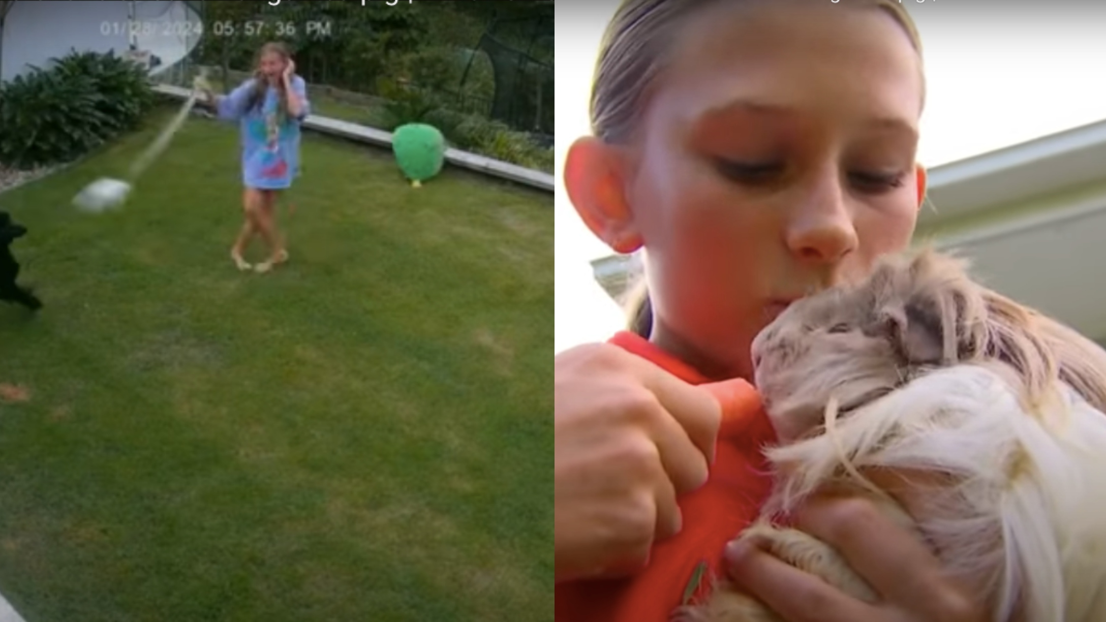 12YearOld Girl Bravely Grabs & Swings Snake To Save Her Beloved Pet