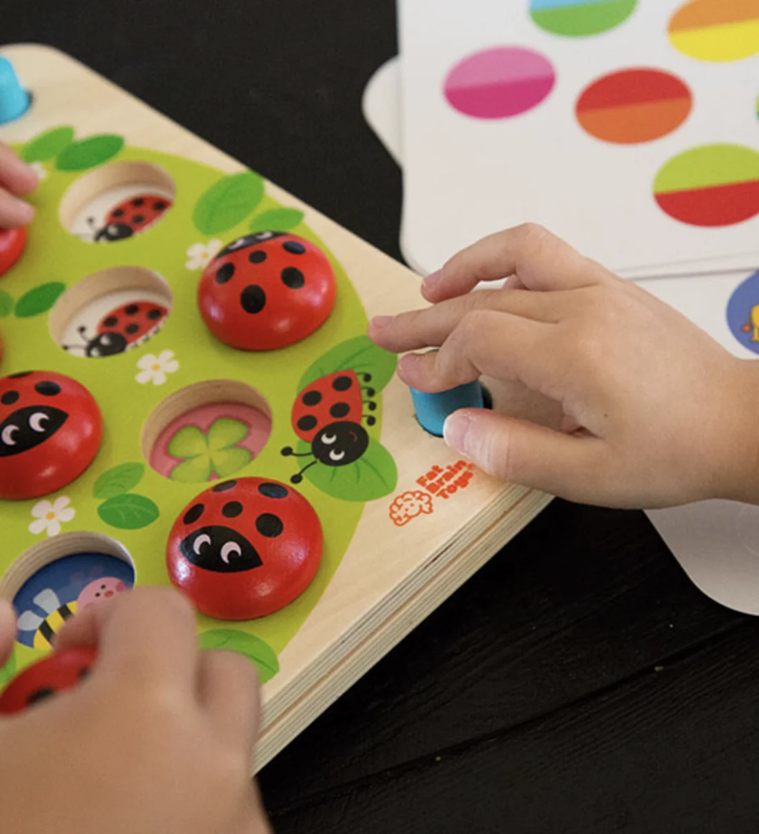 Ladybug's Garden Memory Game