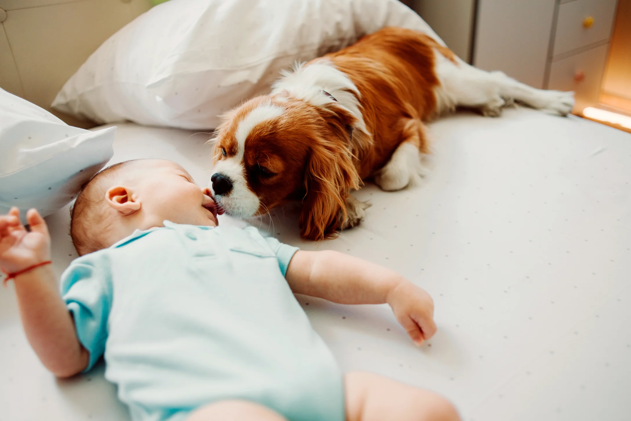 baby and dog