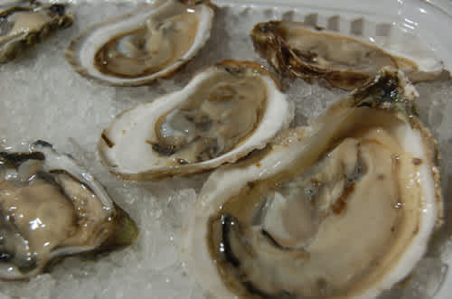 Oysters Have Even More Sex Benefits Than We Thought 