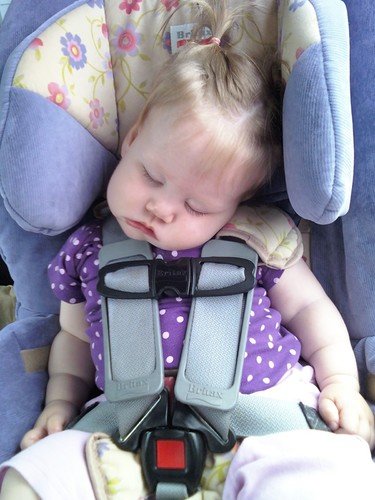 strapping in a car seat