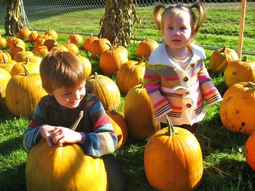 8 Baby-Friendly Ideas for Halloween | CafeMom.com