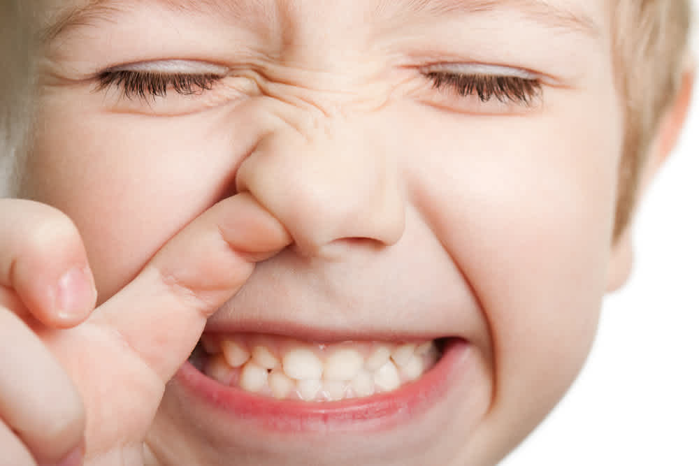Booger Eaters 10 Ways To Stop The Madness Cafemom Com Booger Eaters 10 Ways To Stop The Madness Cafemom Com