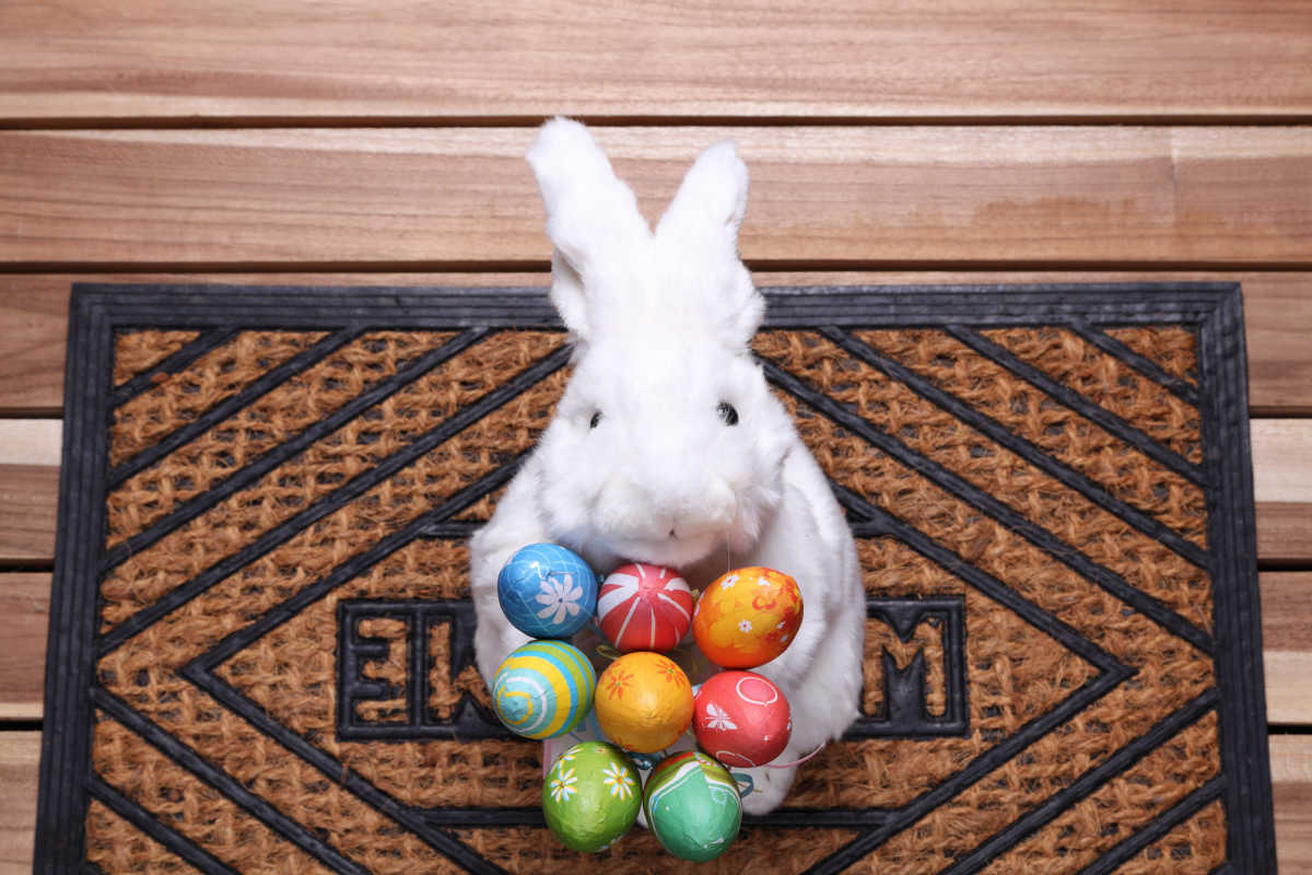 Les meilleures réponses du lapin de Pâques aux questions des enfants | CaféMom.com