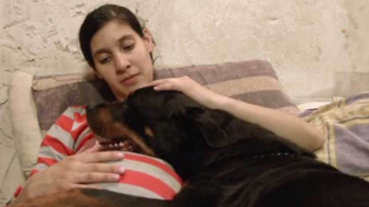 Woman Breastfeeding Animal woman-breastfeeding-animal