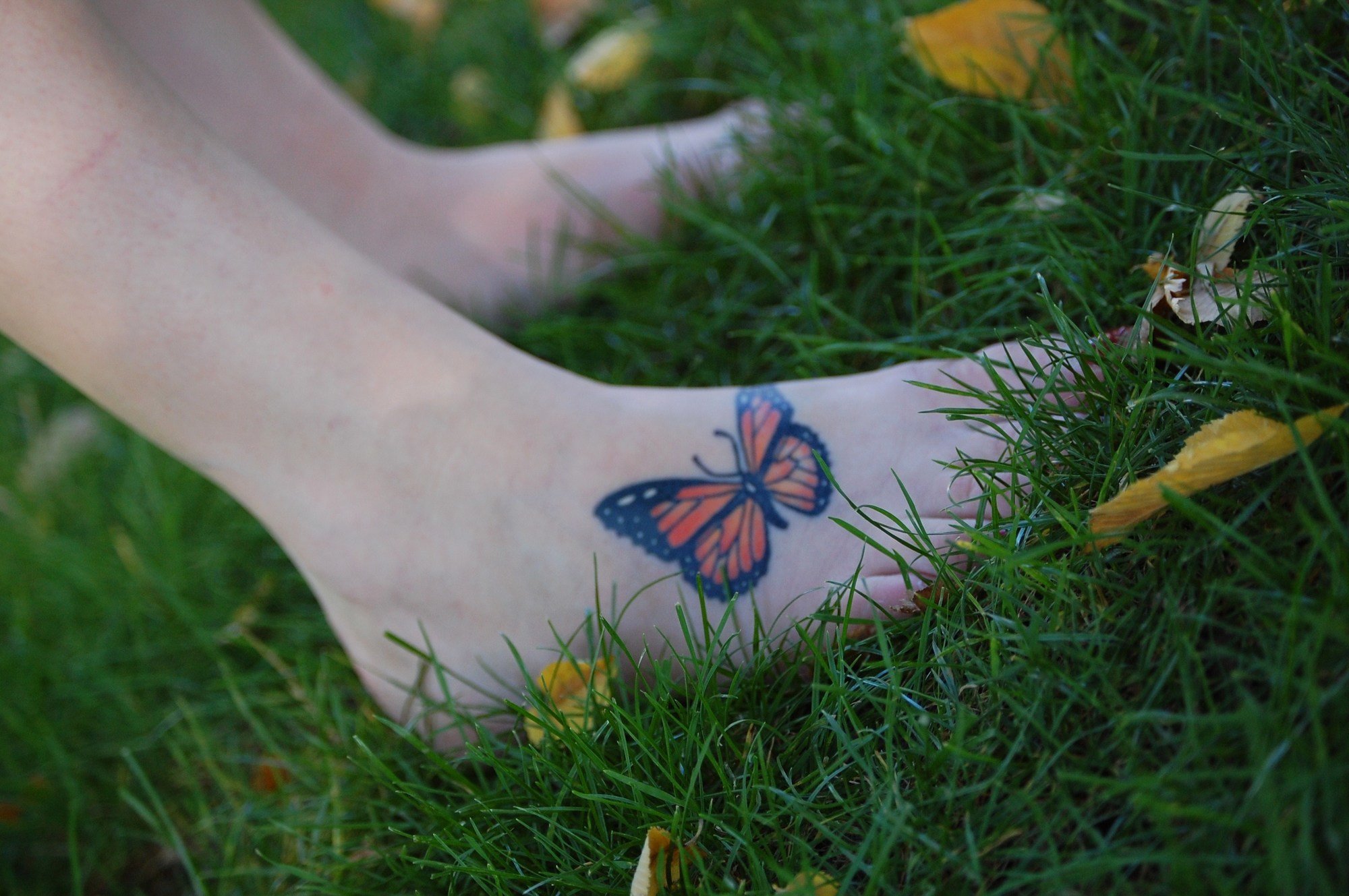 Cool Moths on Arm Tattoo Idea