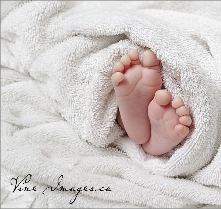 baby feet photo