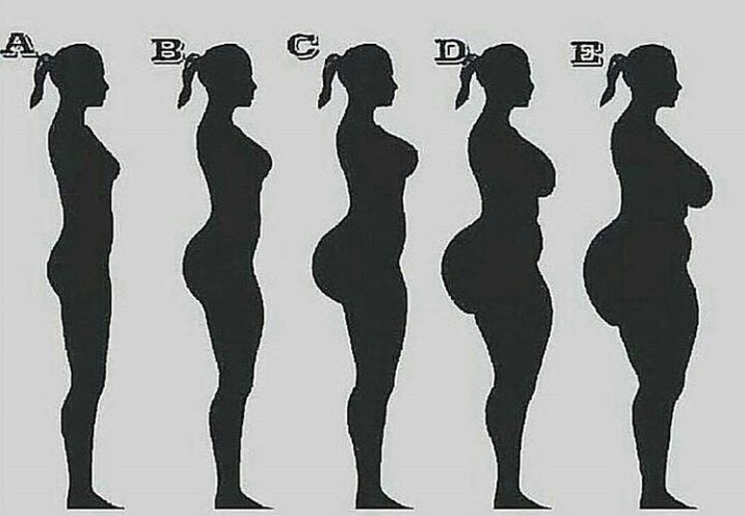 body shapes for women chart
