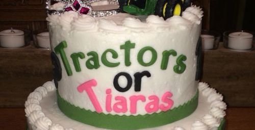 Woman Slams Gender Reveal Cakes As 'Weird' & Sparks A Major Debate ...