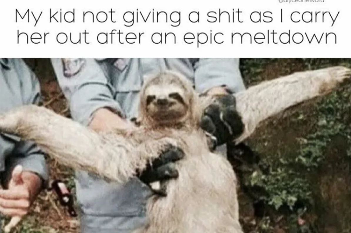 Funny mom meme