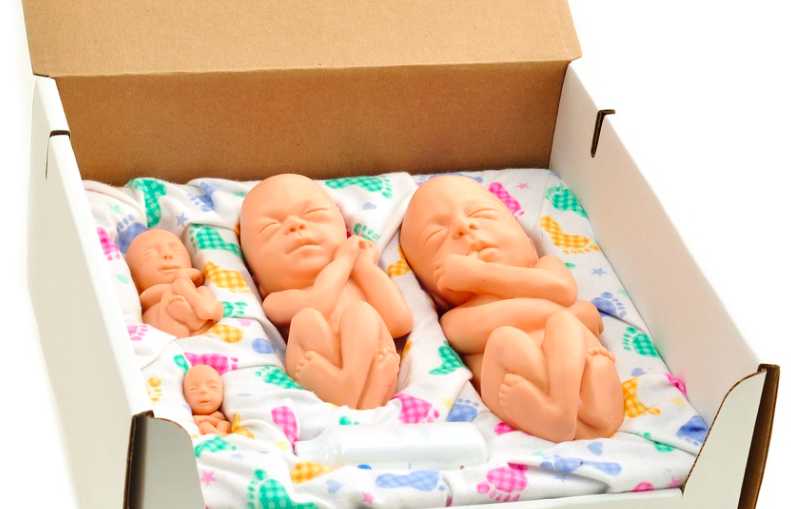 Unborn hot sale baby dolls
