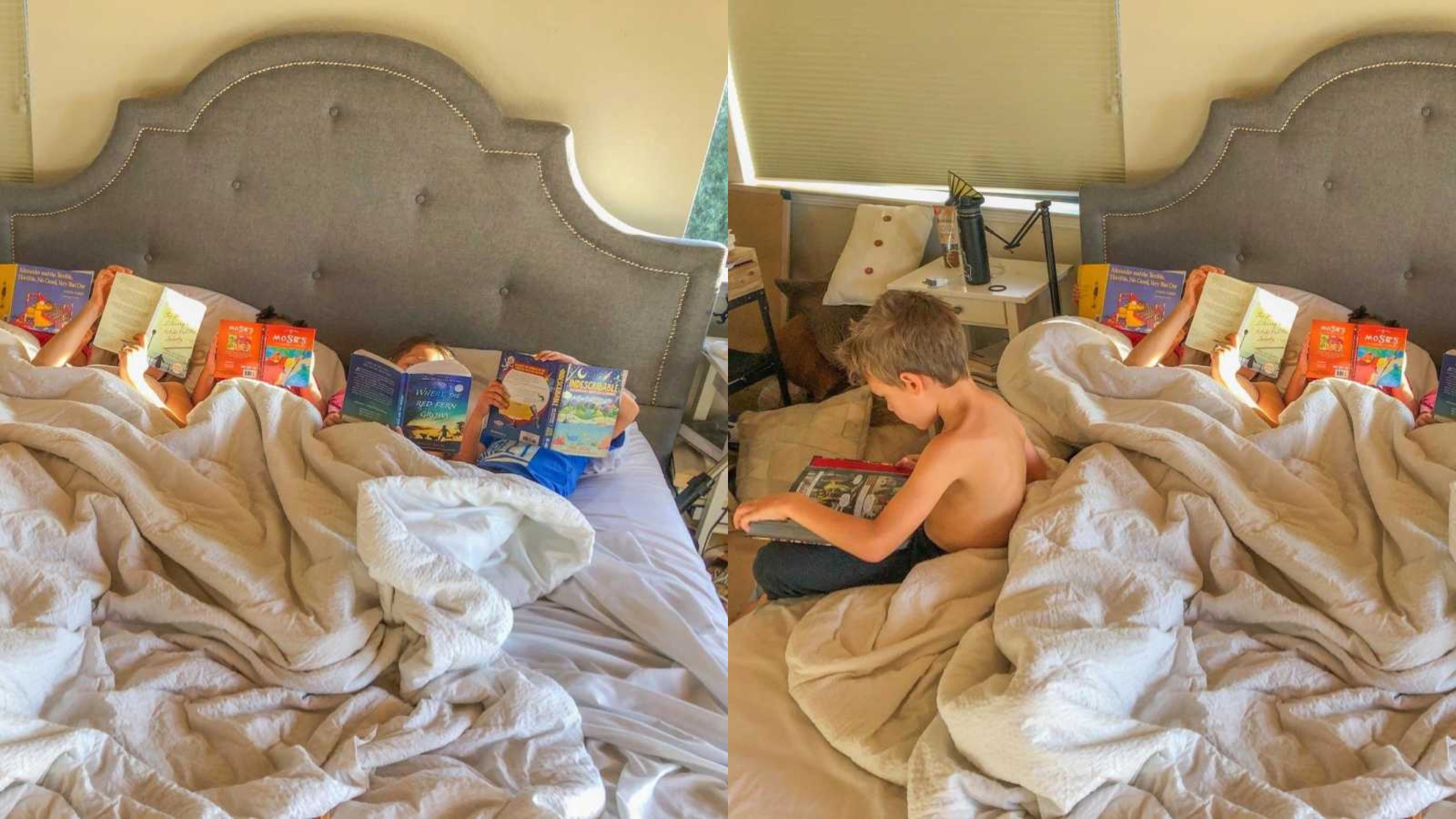 Mom's 'Screen Detox' with 5 Kids Yields Incredible Results