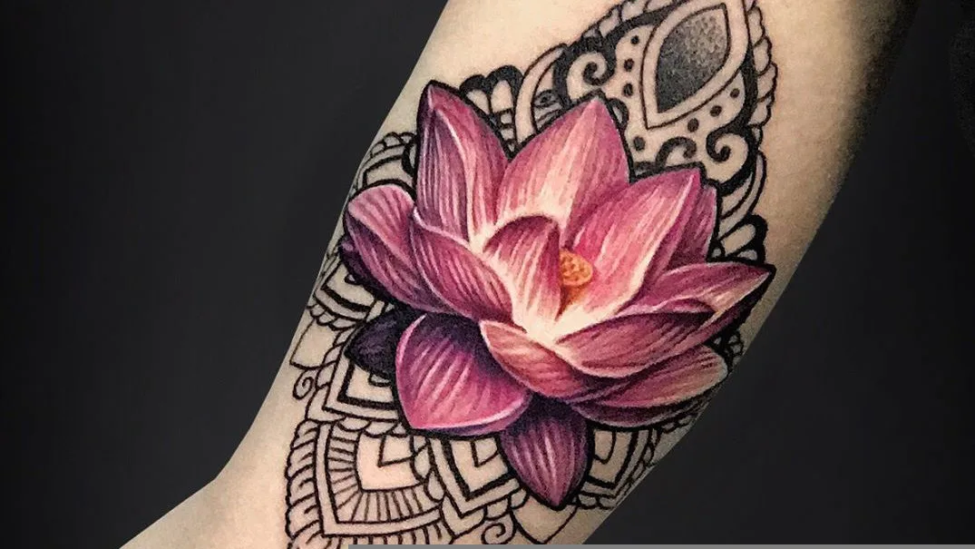 An Idyllic Lotus
