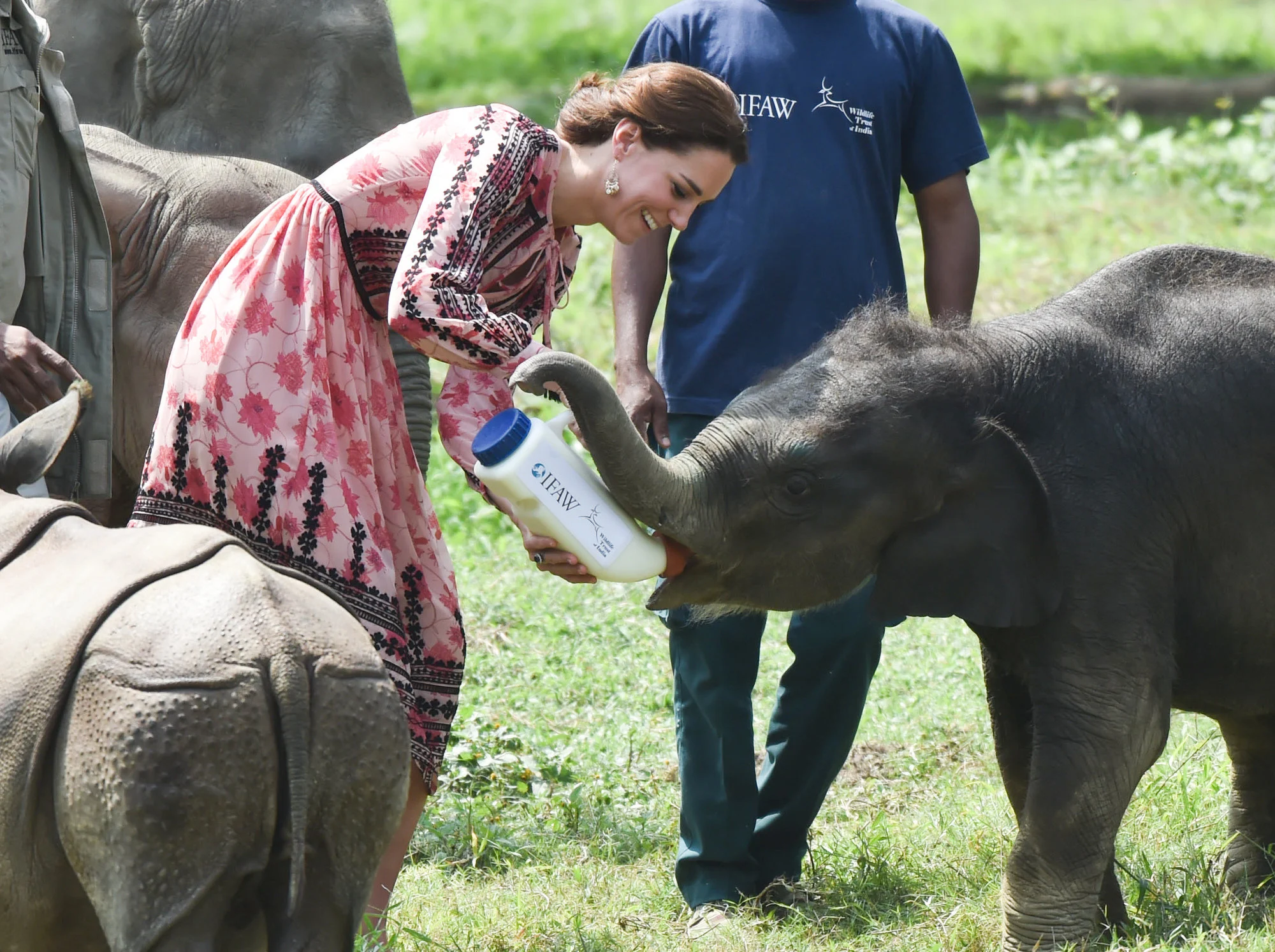 kate middleton feeding a baby elephant