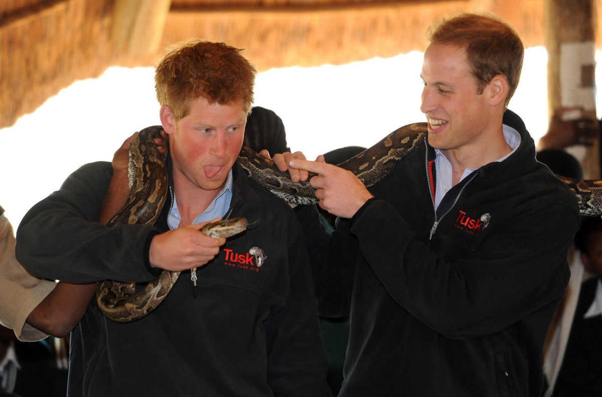 Prince William & Prince Harry's Funniest Moments to Date 