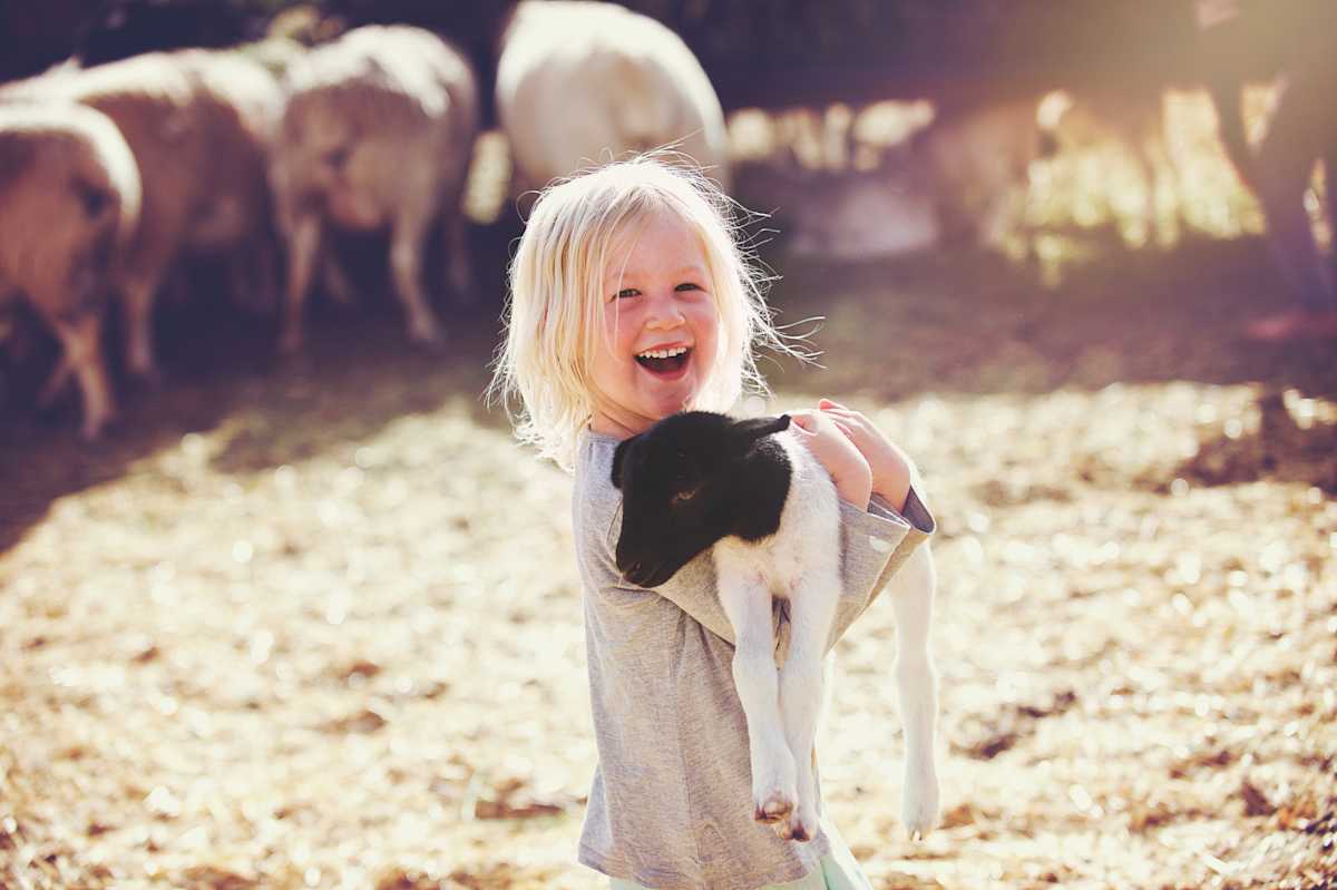 Baby Names Inspired By Wild Animals Cafemom Com Baby Names Inspired By Wild Animals Cafemom Com