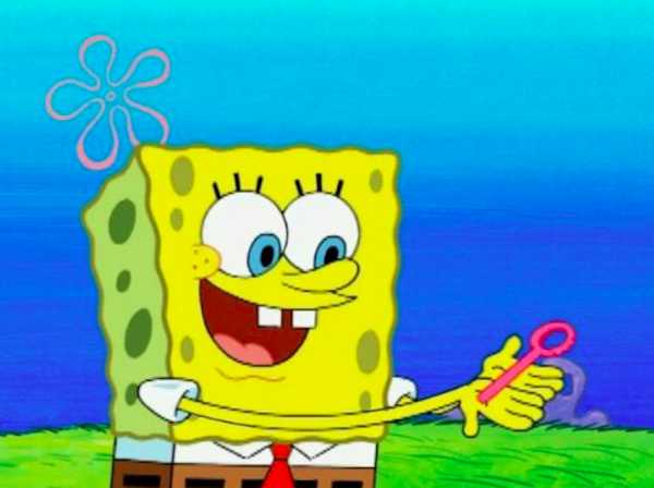 Nickelodeon Reveals Spongebob Squarepants Is Gay
