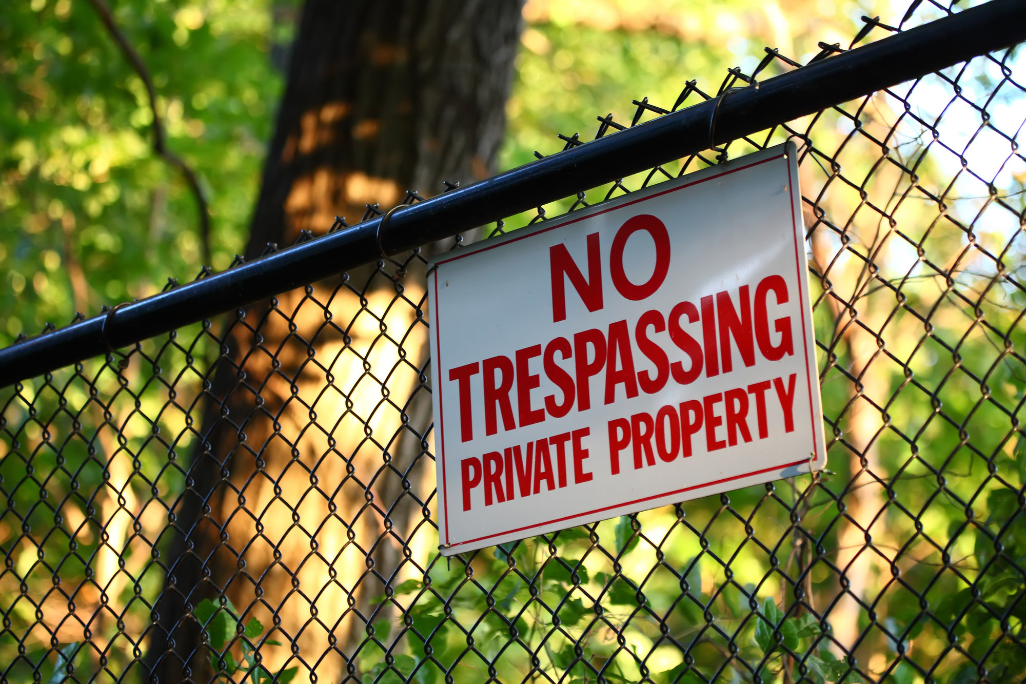 Woman Clashes With Neighbors Whose Kids Keep Trespassing