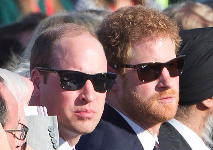 Prince William Didn't Want Prince Harry 'Blindsided by ...