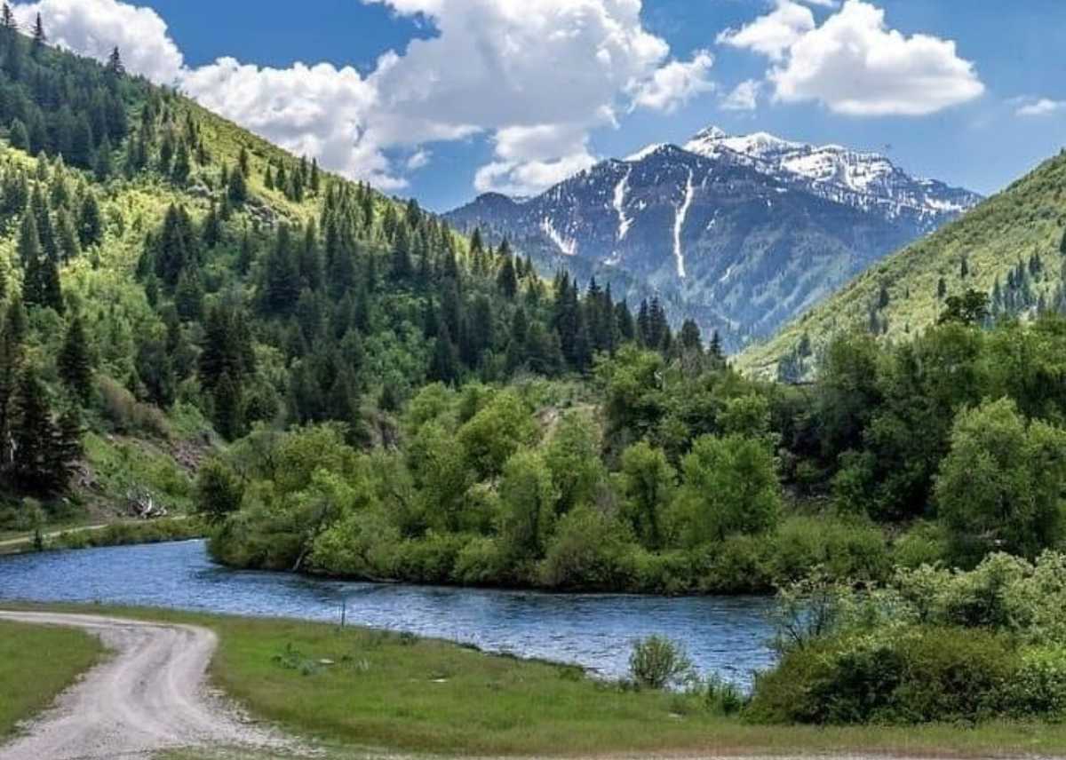 Man Allegedly Threw Wife In River Over Fight About Dinner Cafemom Com