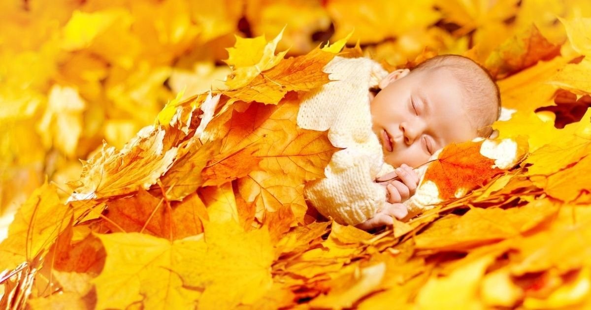 fall newborn photos