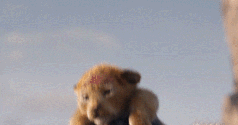 Every 'The Lion King' Character In The New Version Vs. The Original |  