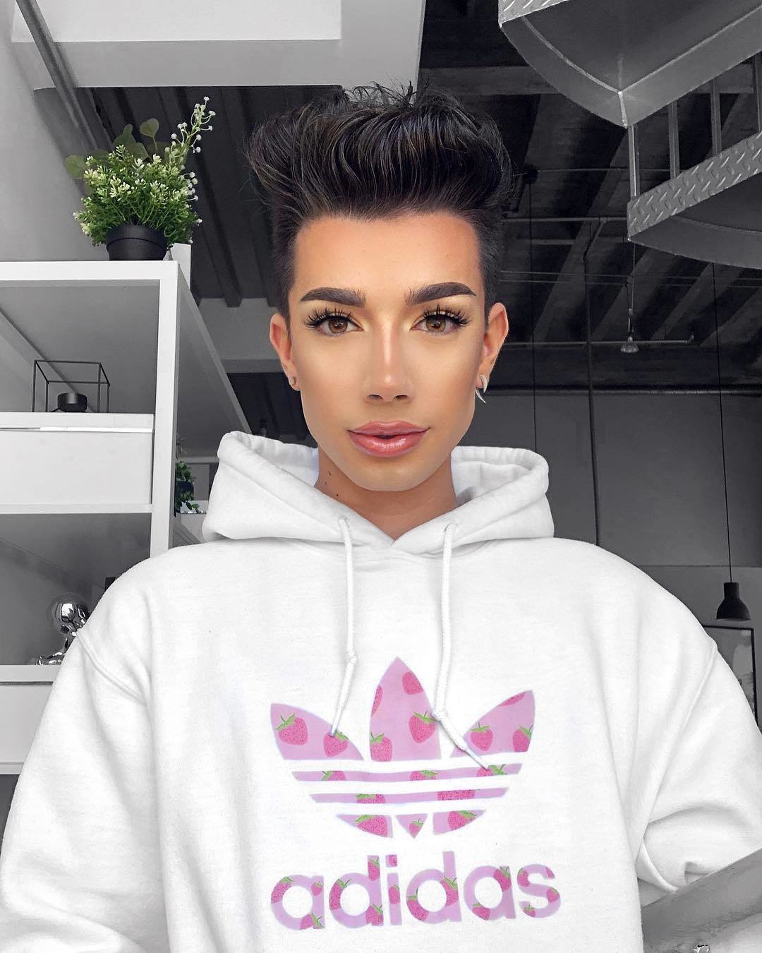 Strawberry adidas hoodie store james charles