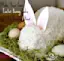 Easy Easter Bunny Cake-placeholder