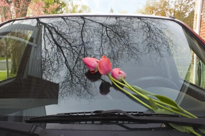 Leave flowers on someone's car
