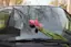 Leave flowers on someone's car-placeholder