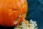 The Classic Vomiting Pumpkin-placeholder