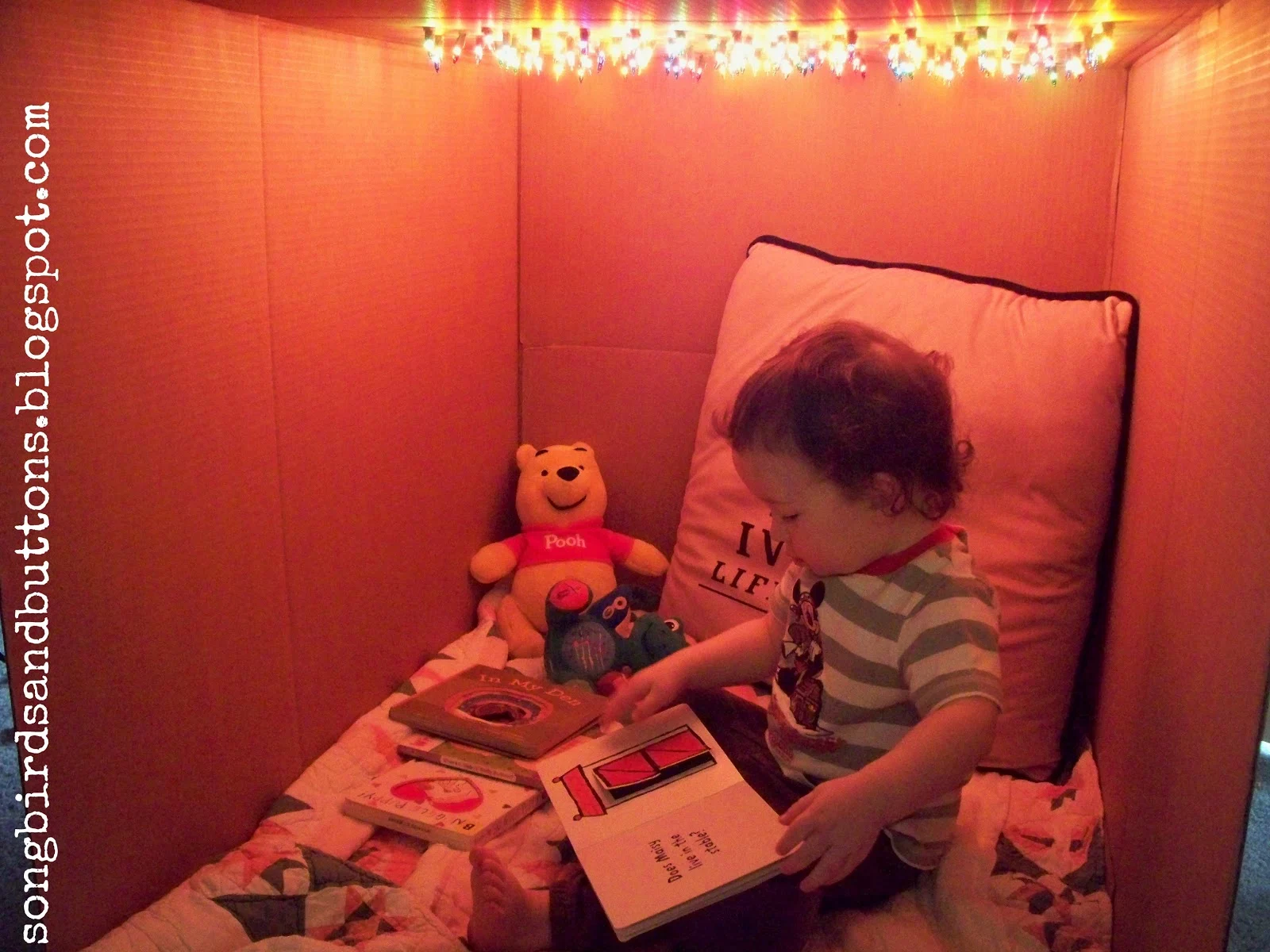 Box Fort