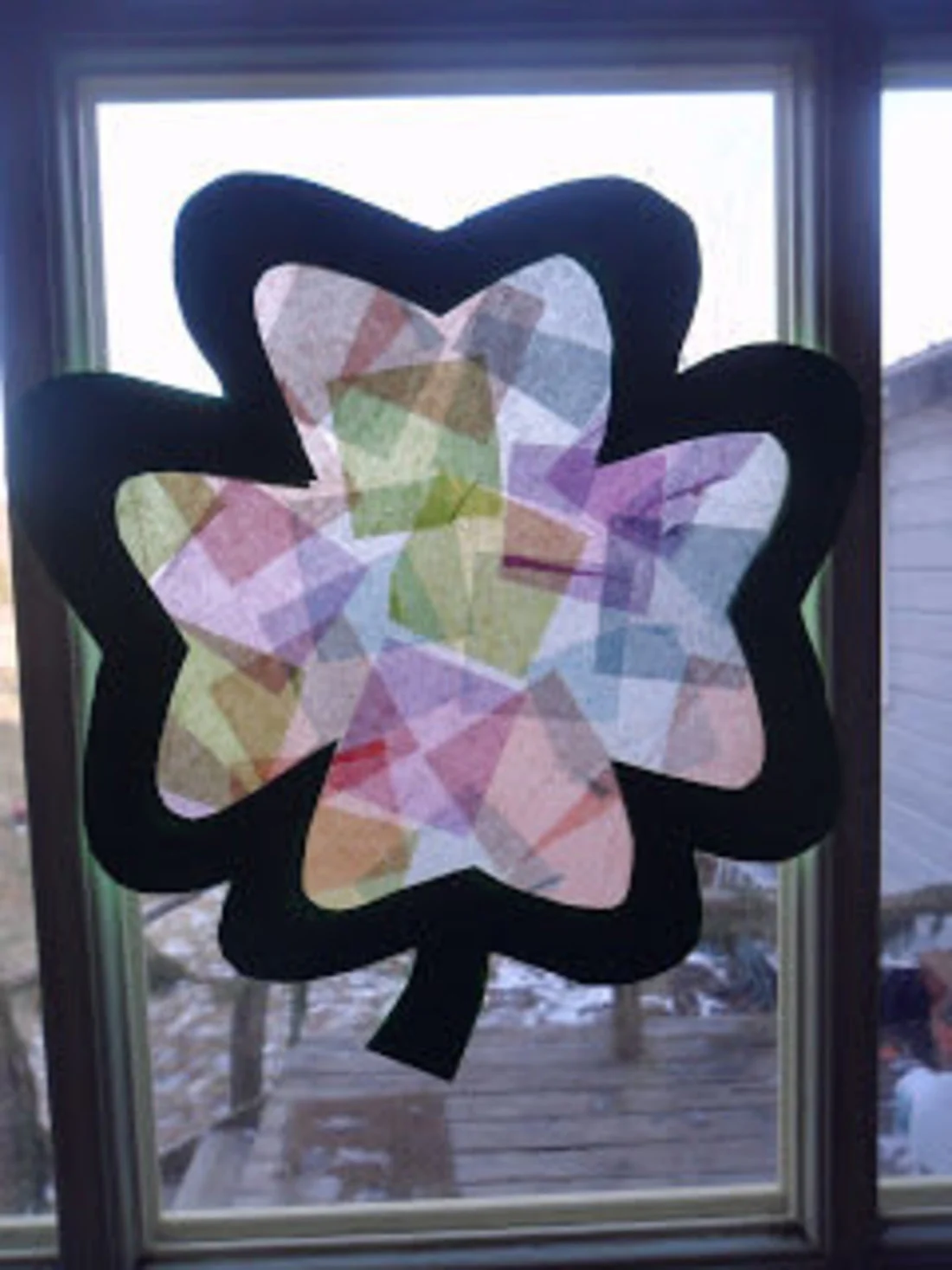 Shamrock 'Stained Glass'