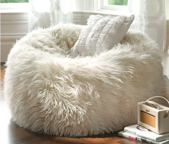 Furry Beanbag Chair